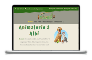 Site-internet-Albi